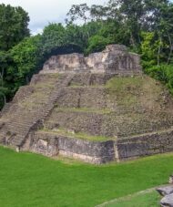 Caracol Maya Site - Belize Birding